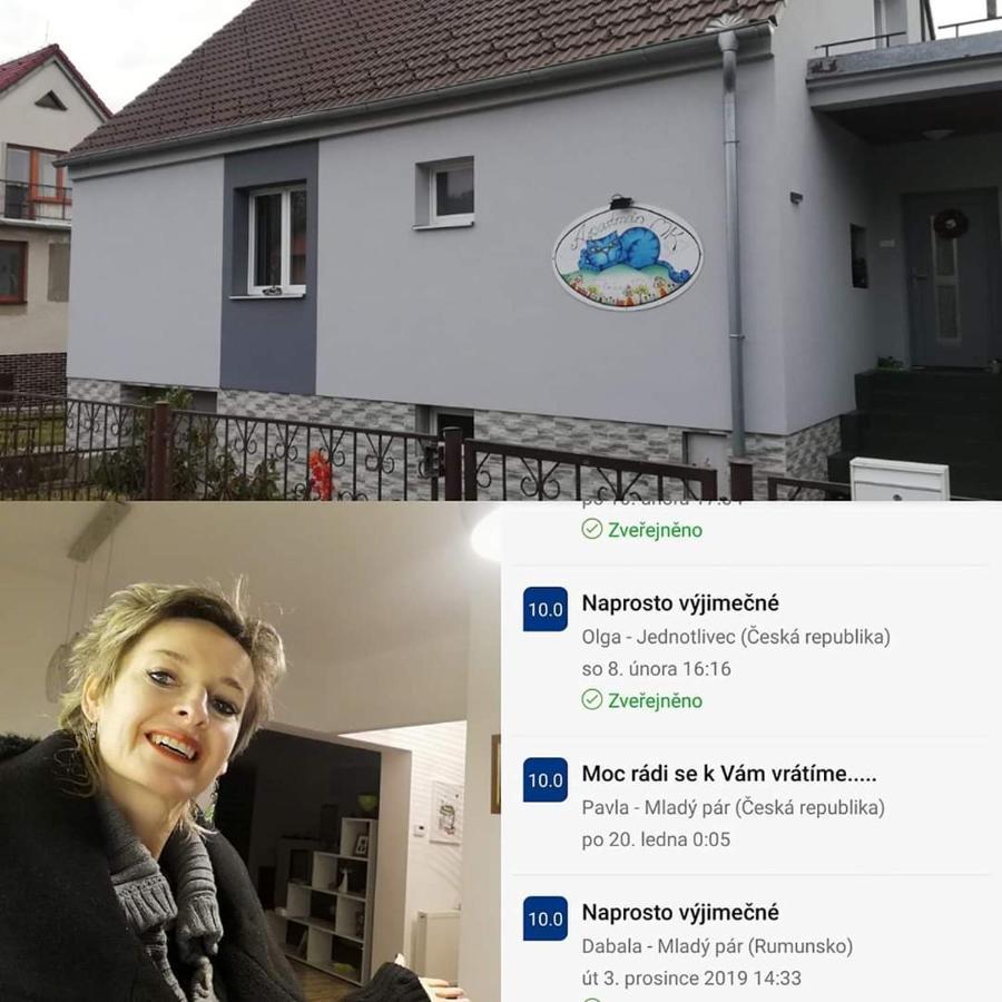 Apartmany Mk U Modre Kocky Nové Hrady Екстериор снимка